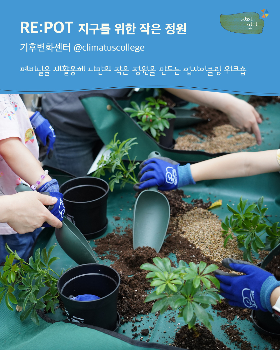 ‘사이, 잇다’ 참여 프로그램 ‘RE:POT 지구를 위한 작은 정원’. 기후변화센터(@climatuscollege)가 진행하는 ‘폐비닐을 새활용해 나만의 작은 정원을 만드는 업사이클링 워크숍’. 상단의 파란색 안내 영역 아래에는 참여자들이 파란 작업 장갑을 끼고 흙과 모종삽을 이용해 검은 화분에 초록색 식물을 심는 모습이 담겨 있다.